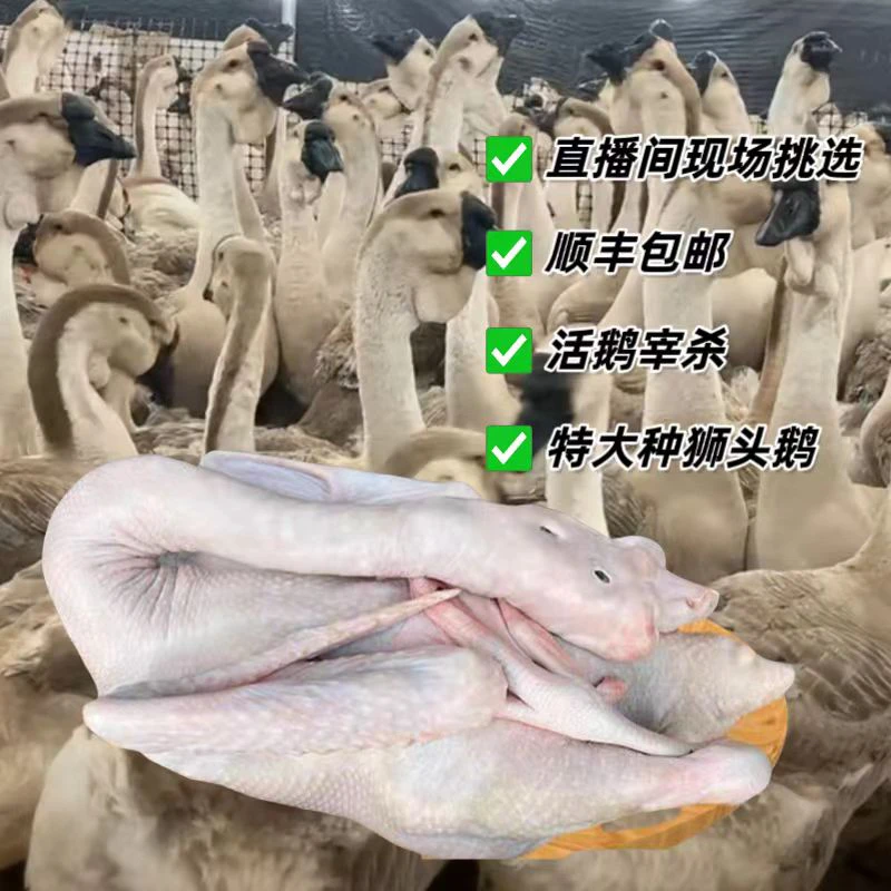 特大种规格狮头鹅肉预包装食品