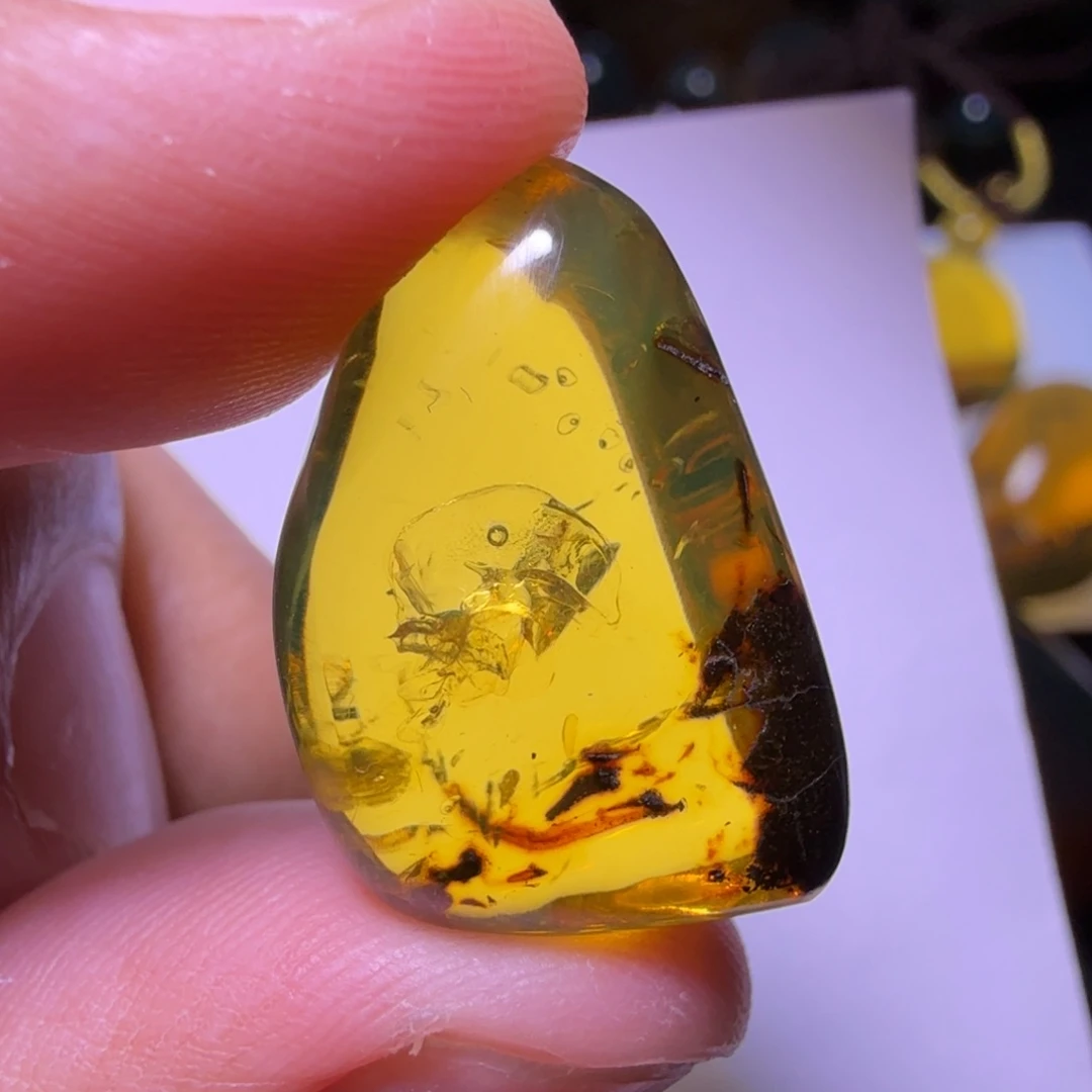 未镶嵌琥珀裸石5号 手动挡水胆