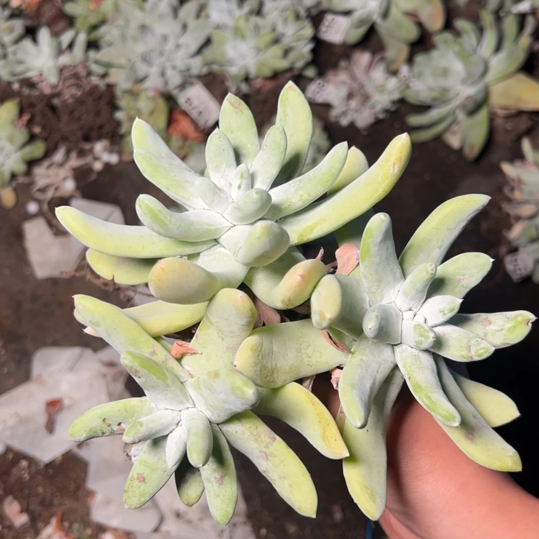 1523哈哈哈哈哈哈哈哈哈