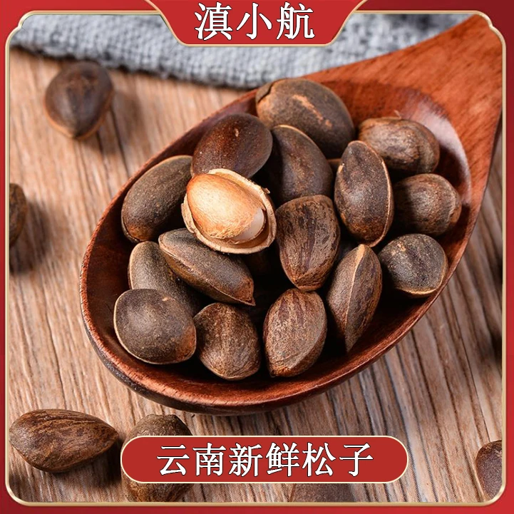 2025云南新鲜生的原味带壳松子清甜薄壳饱满可生吃的坚果