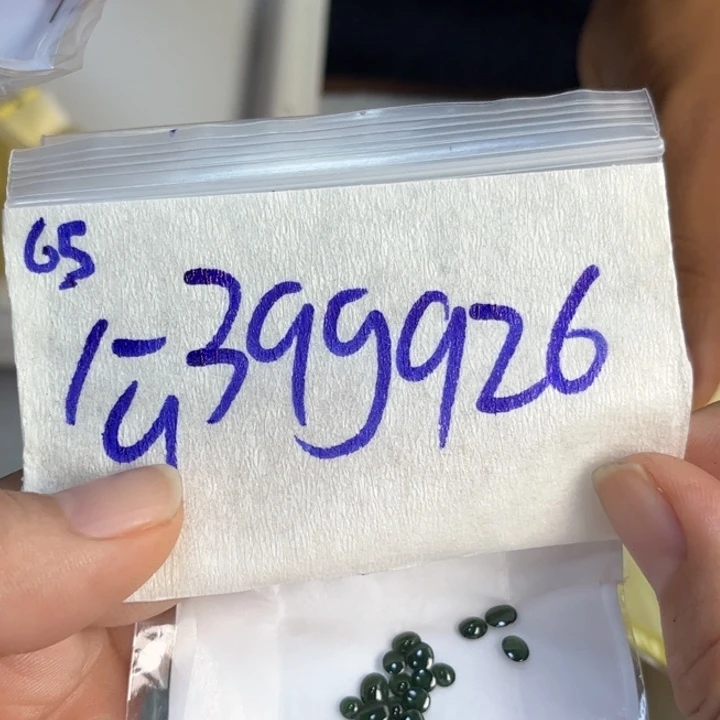 定制翡翠未镶嵌不退