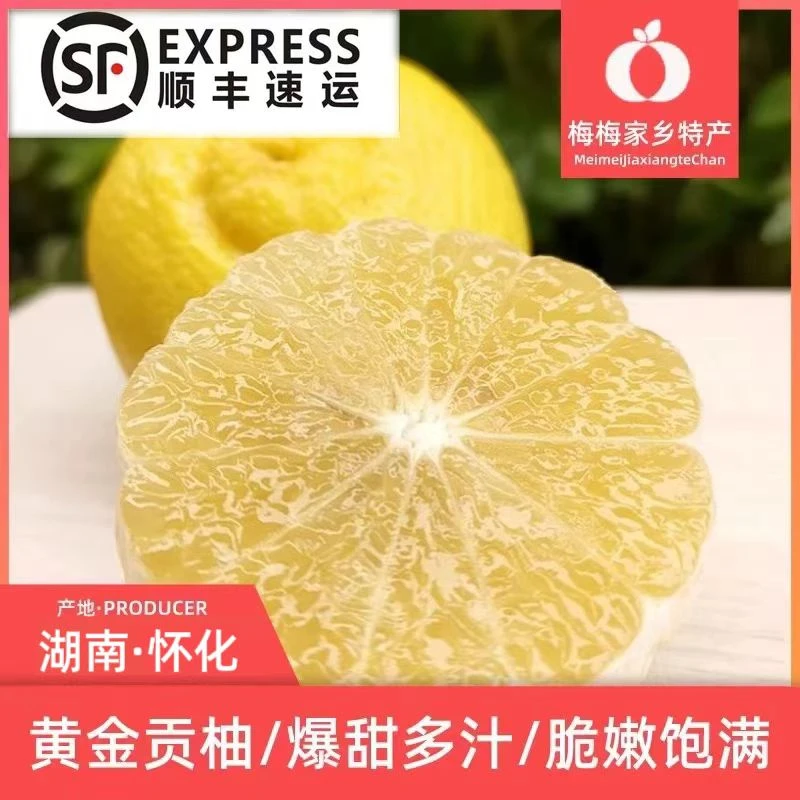 (顺丰包邮)湖南怀化正宗黄金贡柚新鲜香甜浓郁重4.5-9斤柑橘