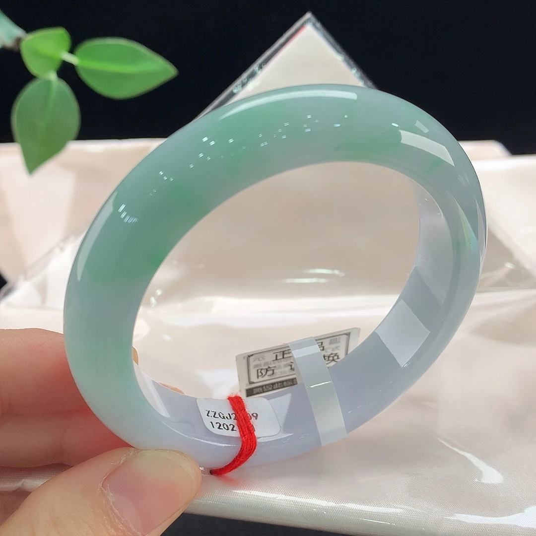 未镶嵌手镯翡翠2101