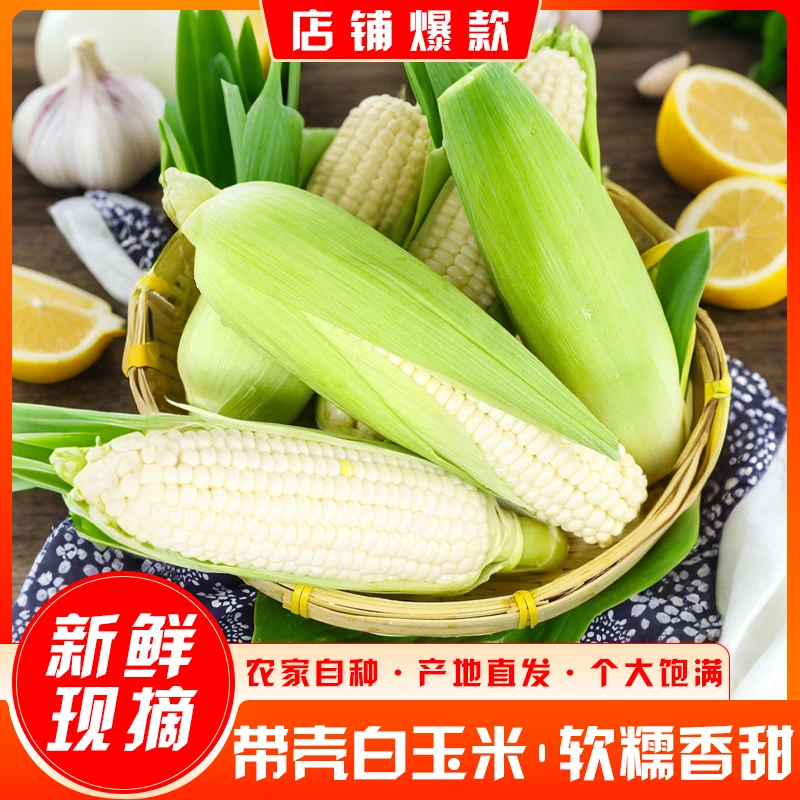 正宗忻州新鲜现摘白糯玉米香甜粘嫩带皮当季水果蔬菜
