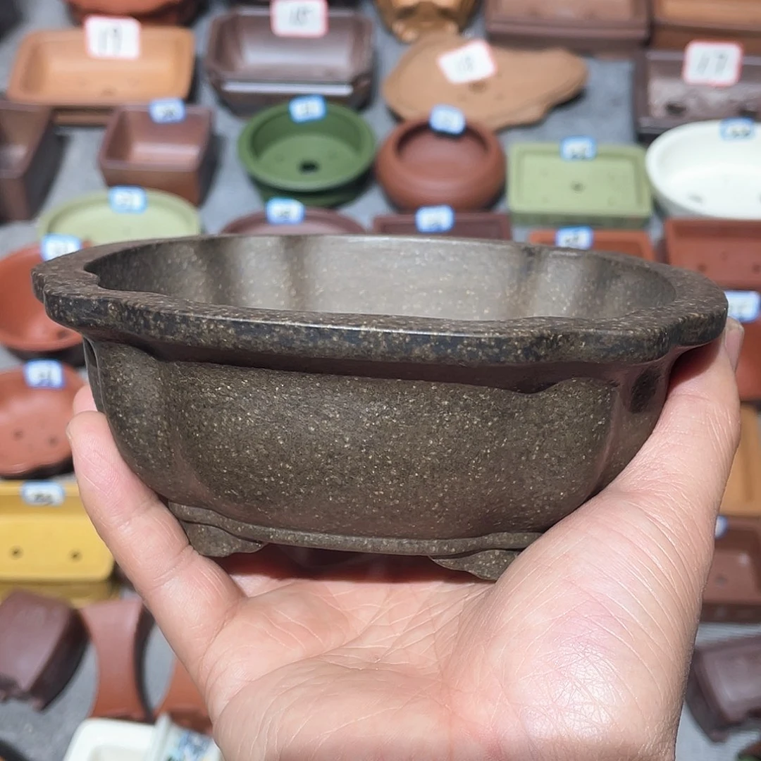 紫砂小盆13*5cmvv