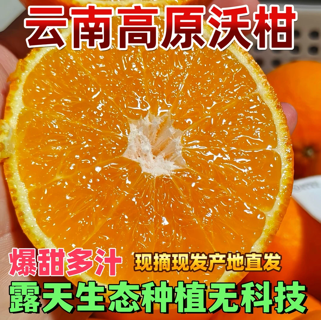 云南高原老树沃柑橘子新鲜水果当季柑橘产地直发云南大果包邮