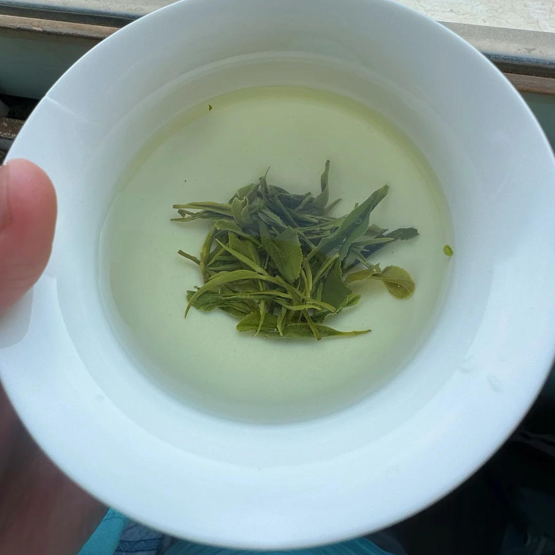 2025年红安本地特产本地眉茶红安眉茶尝鲜500克包邮