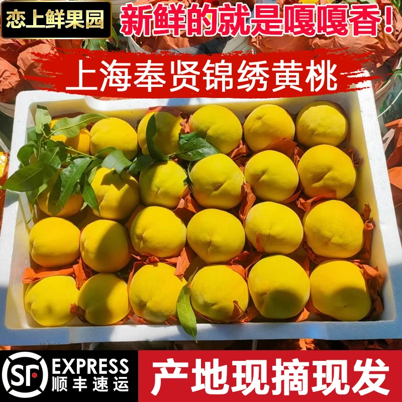 正宗上海奉贤光明锦绣黄桃新鲜应季水果爆甜蜜甜大桃子顺丰包邮