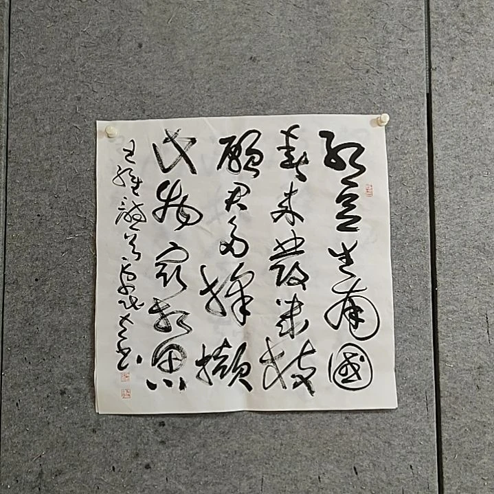 书法宋秉民。四尺对开。红豆生南国，春来发几枝