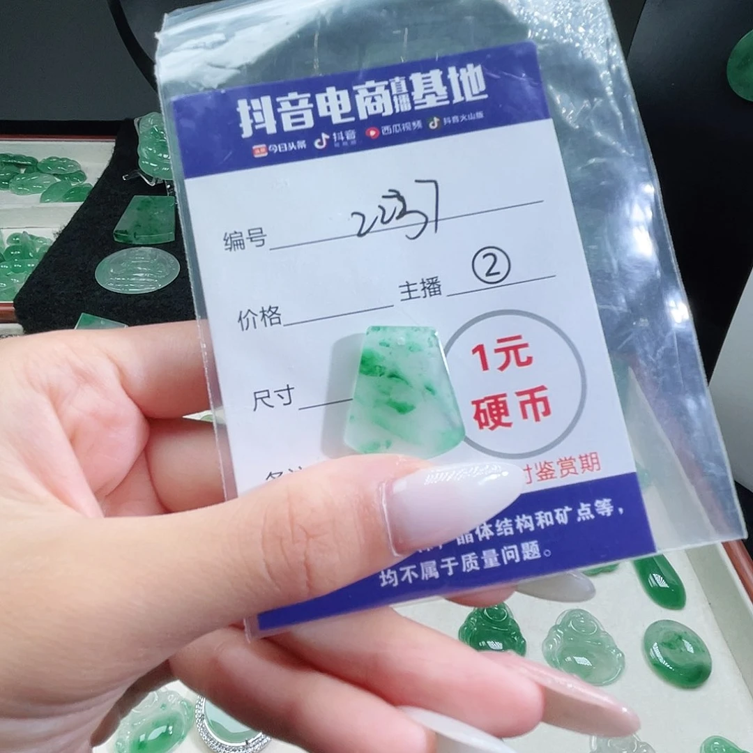 石英质玉未镶嵌颈饰