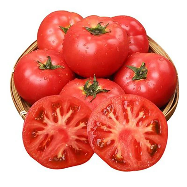 惠民西红柿【约650g】番茄同城配
