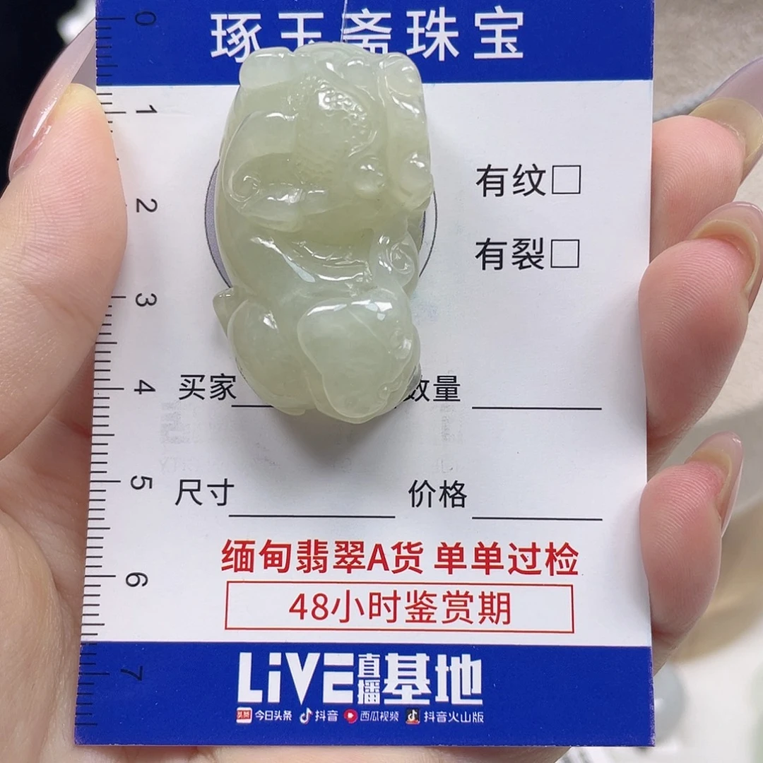 颈饰未镶嵌翡翠貔貅