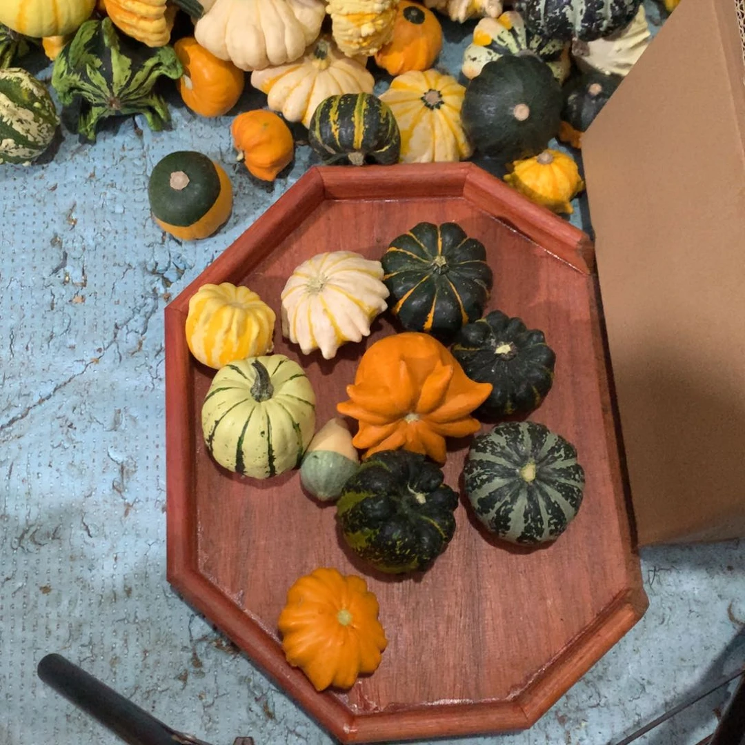 胖****胖墨西哥！墨西哥！墨西哥