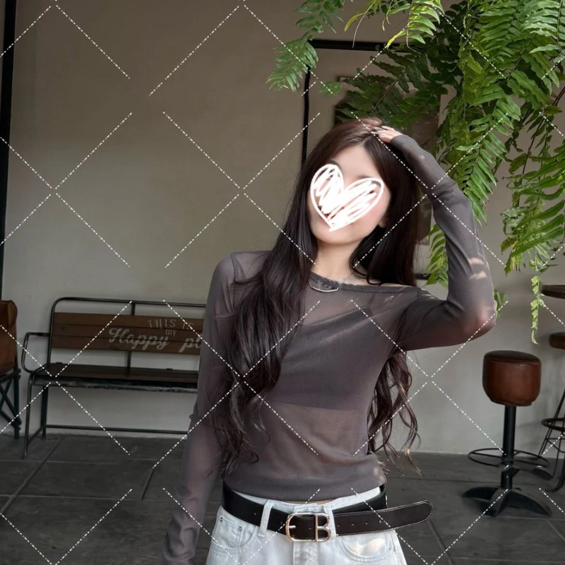 艺等【透视网纱】2025夏季新款性感辣妹百搭薄款长袖修身显瘦女上衣