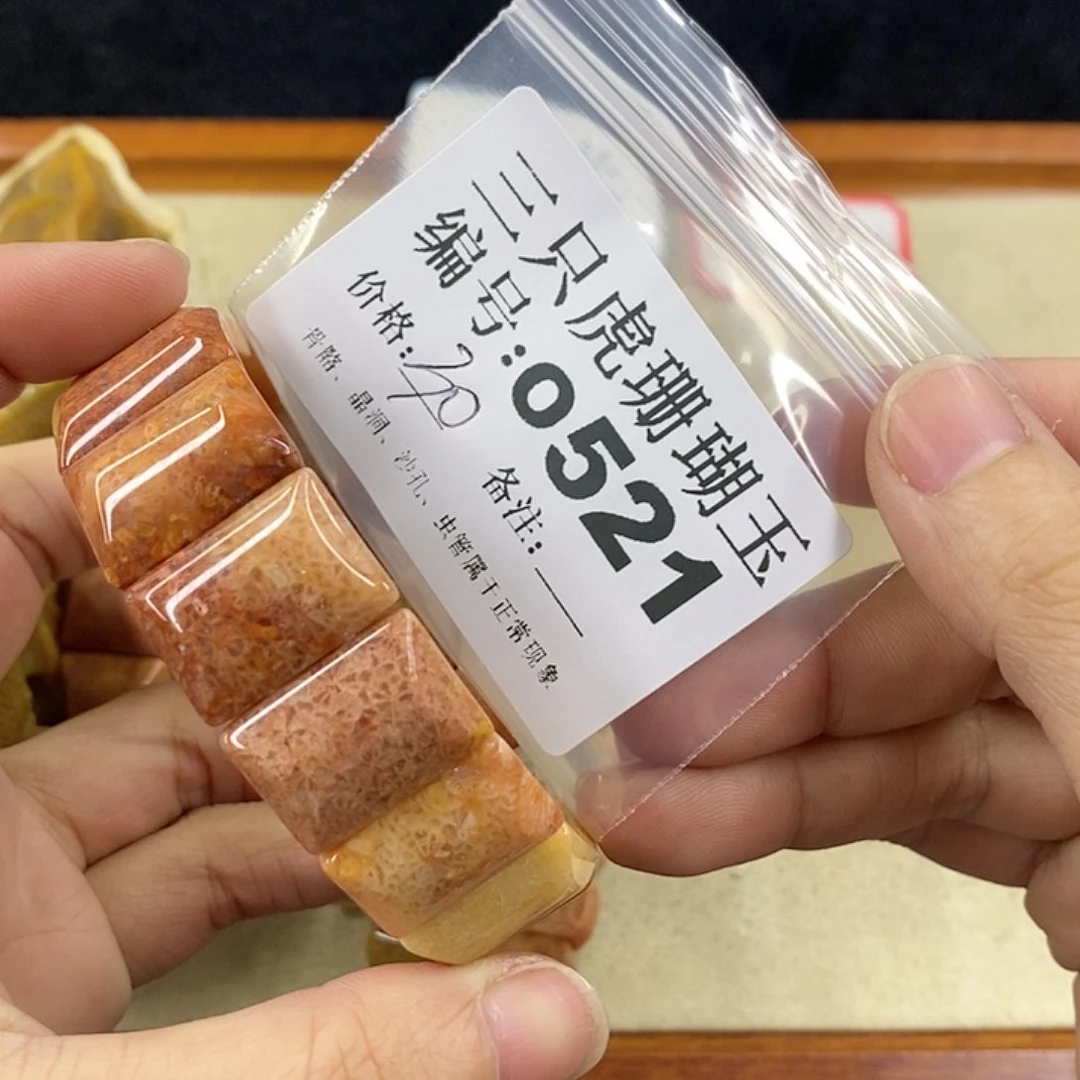 硅化珊瑚（珊瑚玉）1未镶嵌代*词