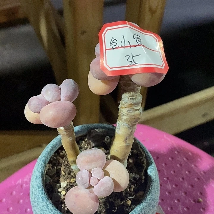 @***萱崔v我啦德语津津乐道有小雨