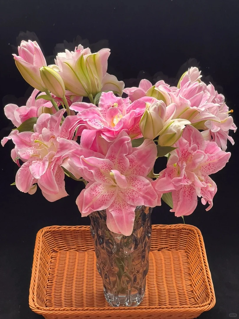 【粉拉菲】高品质重瓣百合 云南鲜花一单也包邮 发货后不支持退款