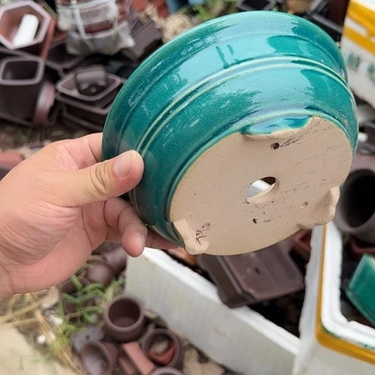 是一个集休闲农业的休闲胜地以及现代