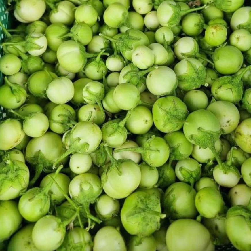 ca phao xanh新鲜青茄子小圆茄绿茄子越泰特色菜肴可腌制500g
