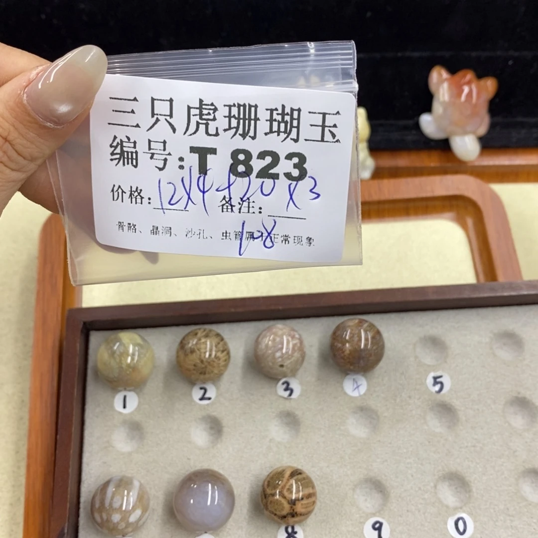 硅化珊瑚（珊瑚玉）1足银镀金镶嵌豆****u