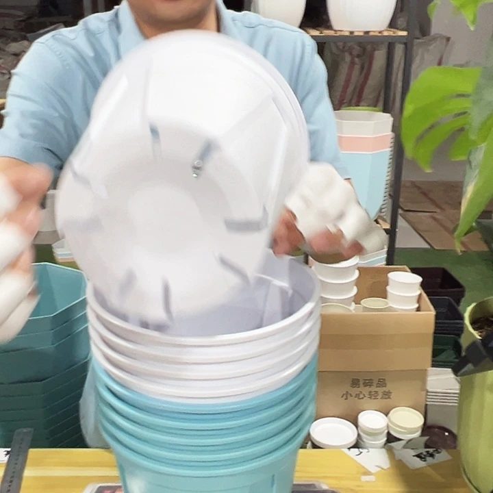 青山口21高21混色无托10只