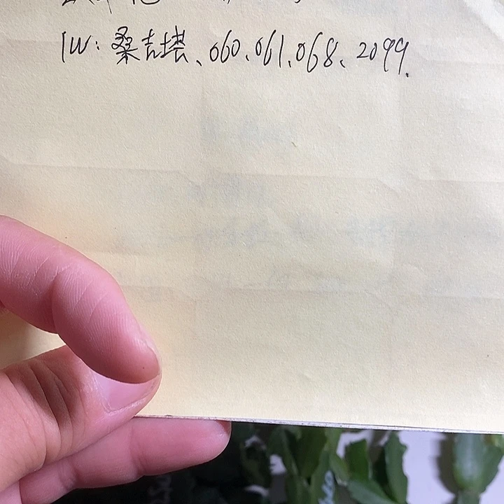 无花朵1*+蟹爪兰叶片