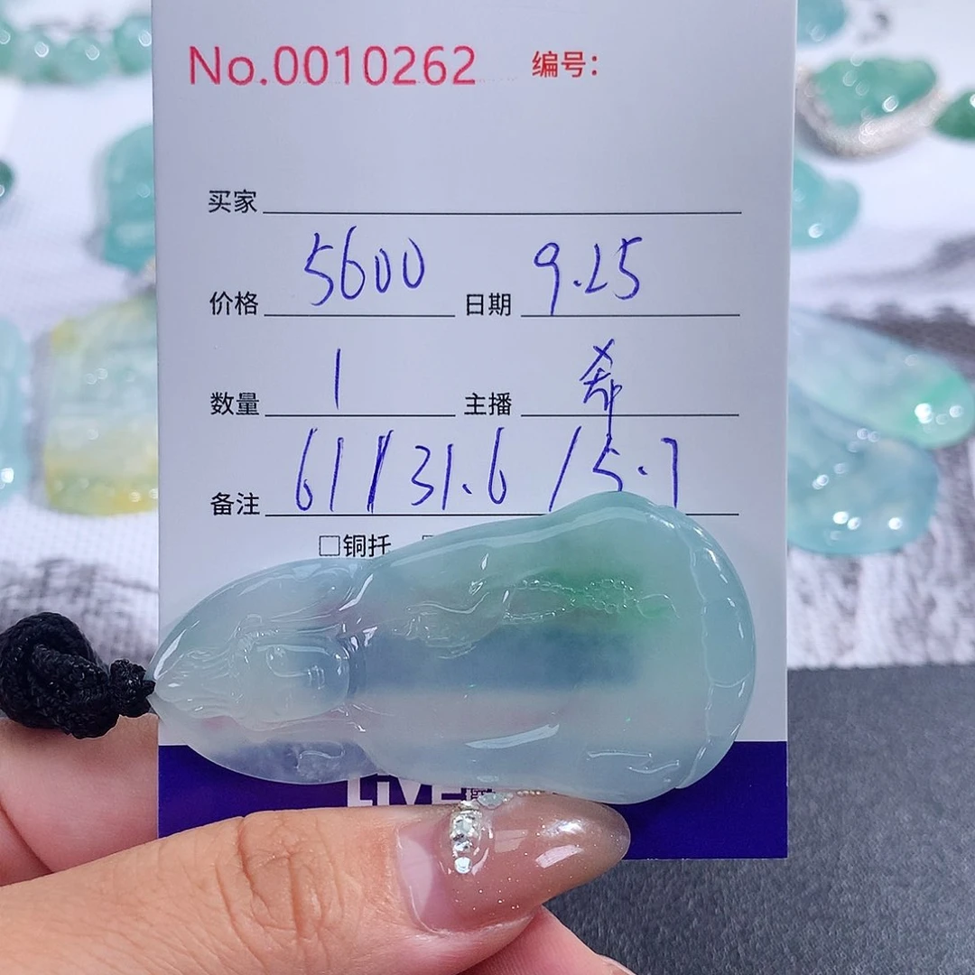 【闪购商品】颈饰未镶嵌翡翠