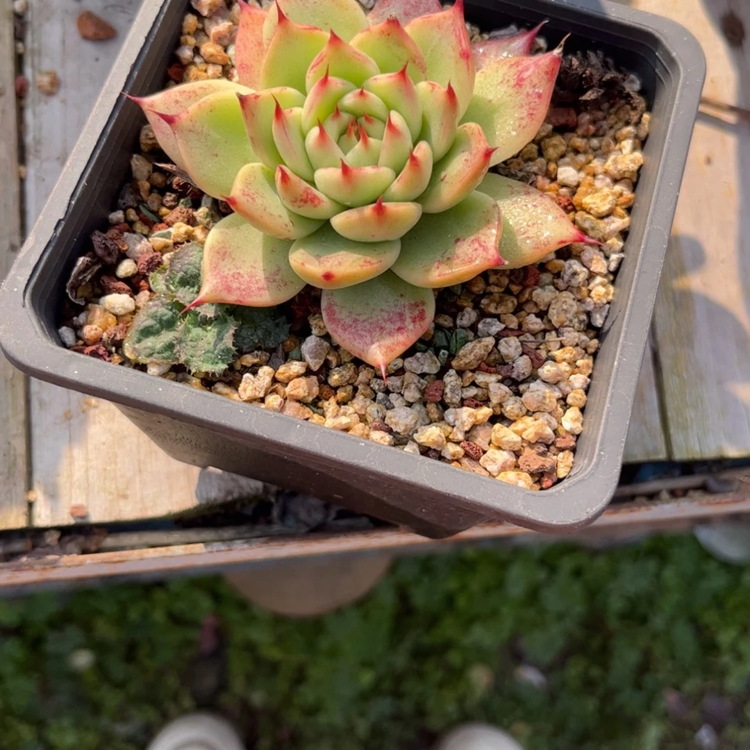 喵***宝1111111111111111111