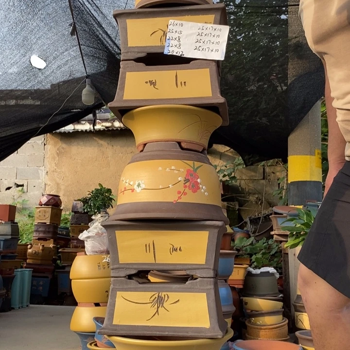 紫砂紫砂紫砂紫砂