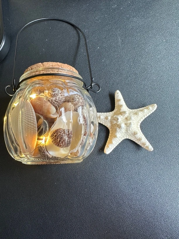 海胆灯贝壳收纳瓶创意小夜灯海螺贝壳许愿瓶生日礼物玻璃夜光纪念