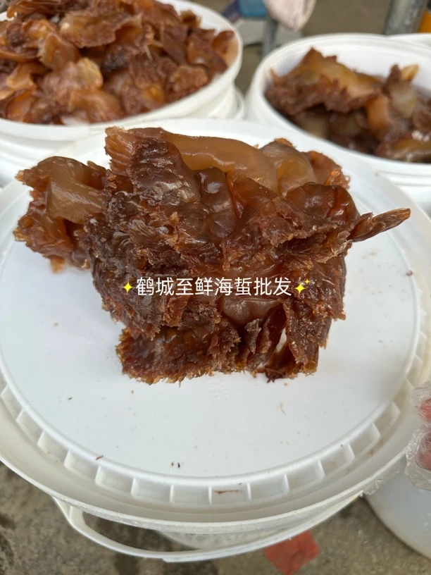 【2024年江苏吕四海蜇】野生海蜇特大整头非即食海蜇5斤装10斤装