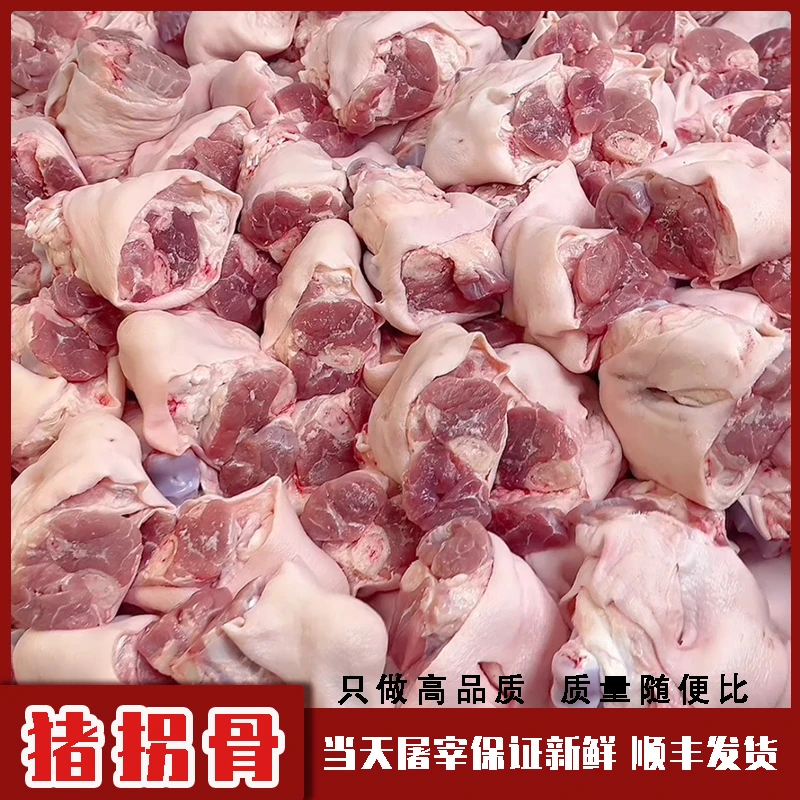 多肉猪拐骨猪拐骨生鲜肉类小蹄膀猪脚圈猪二肘新鲜顺丰发货小肘子