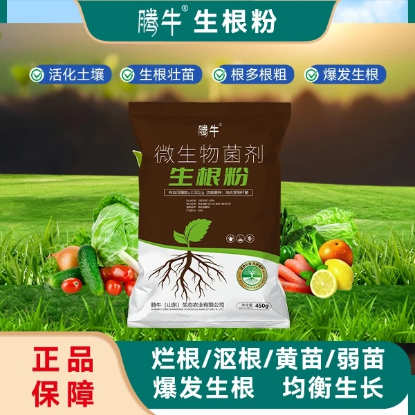 腾牛生根粉果树蔬菜种植壮苗扦插移栽育苗生根剂微生物菌剂肥料