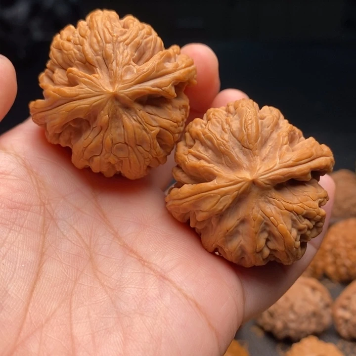 文玩核桃把件红锦鲤41尺