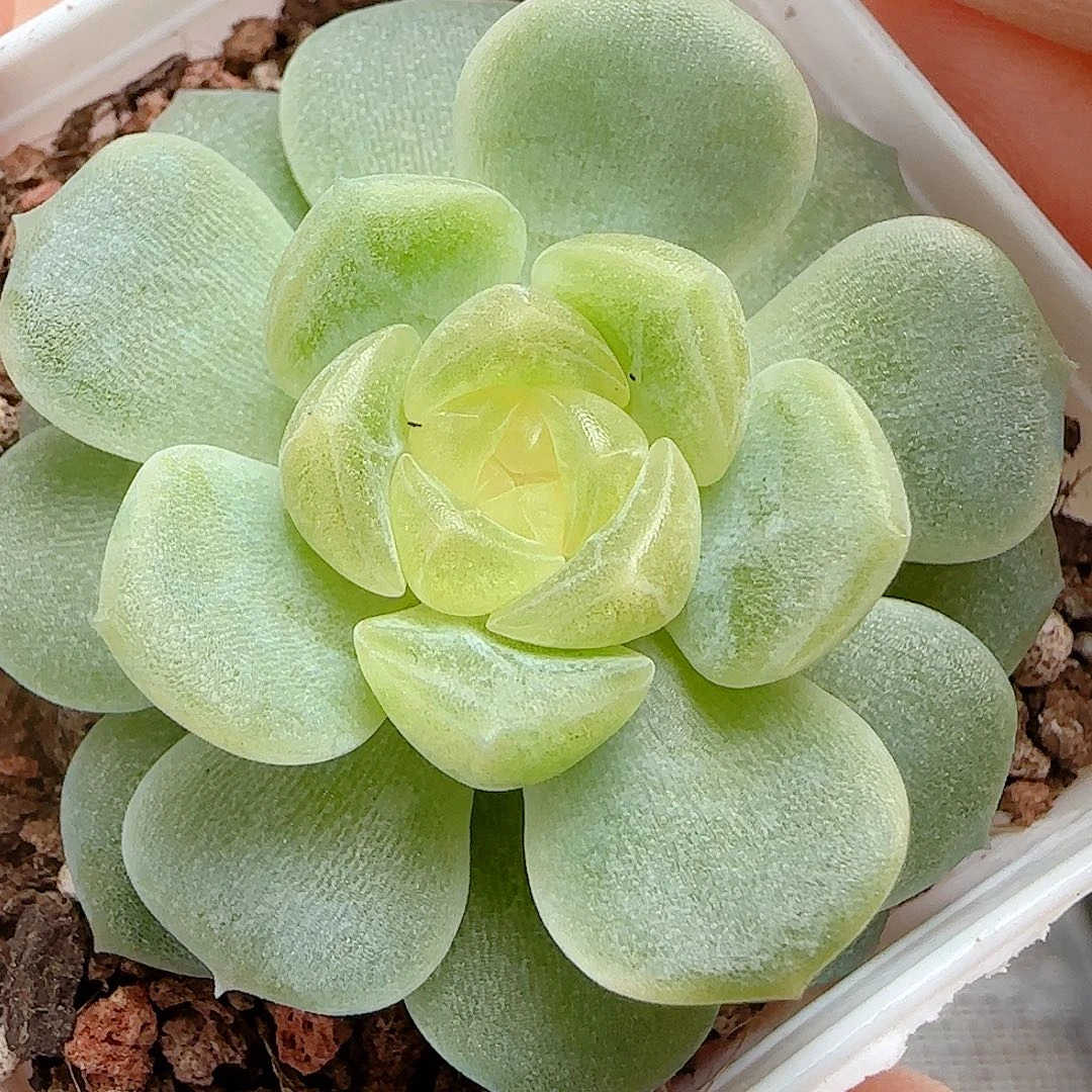 【闪购商品】0926-136无尽灯