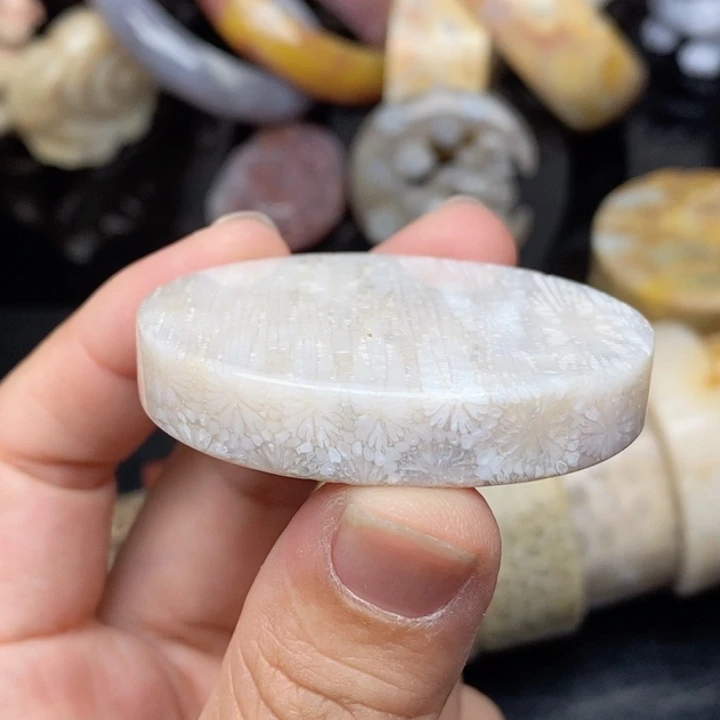 硅化玉颈饰未镶嵌