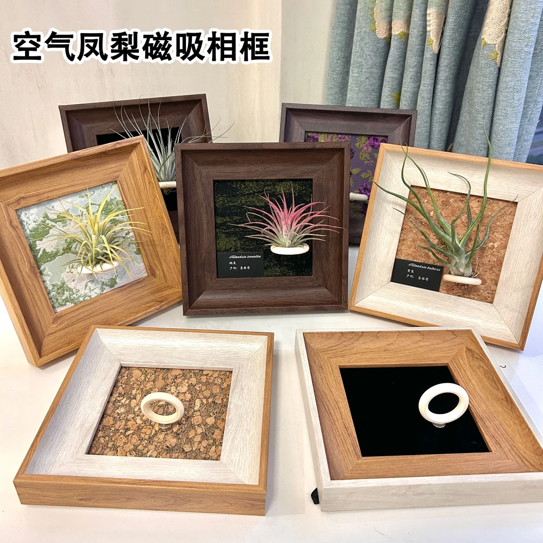 空气凤梨磁吸款相框中古装饰画创意相框客厅摆件挂摆两用送礼物