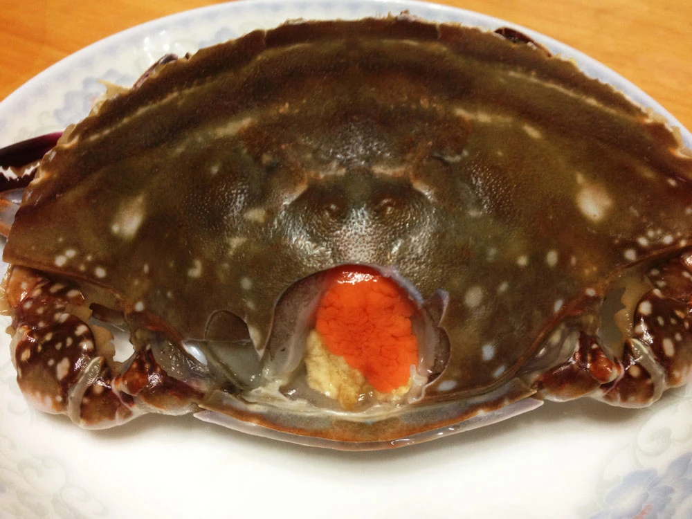 （姐弟海鲜）舟山正宗红膏呛蟹3两左右/只咸蟹下饭即食鲜甜不能蒸煮