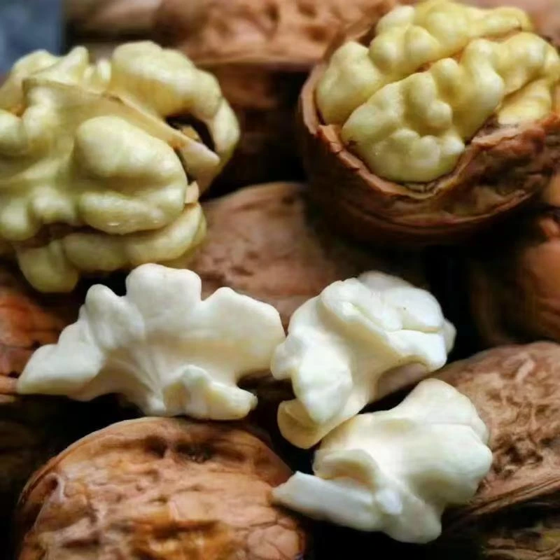 新鲜去青皮四川老树湿核桃脆嫩美味老人小孩孕妇零食鲜核桃