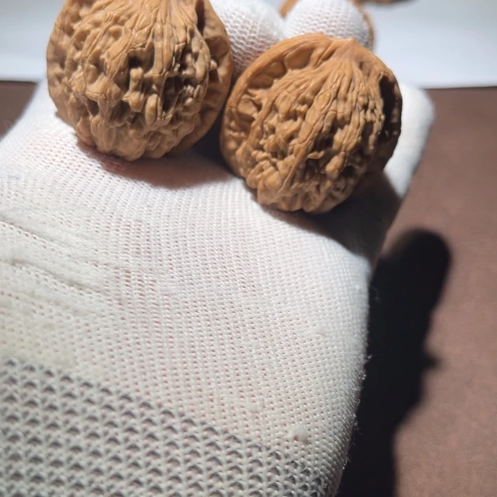 ****.精品小虎头28尺寸