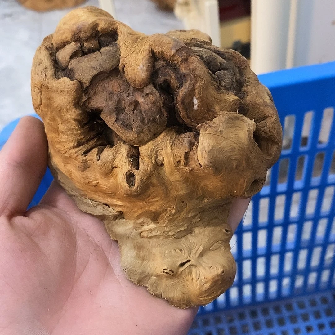 文***产荔枝木荔枝木香炉