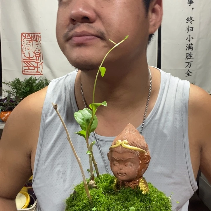 M****曼一物一拍所见即所得188