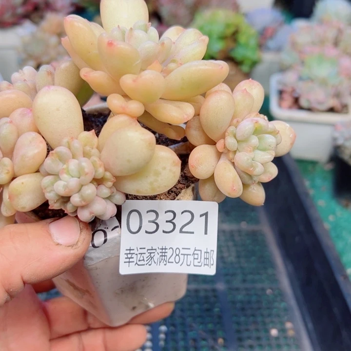 幸运的是我还没遇到过