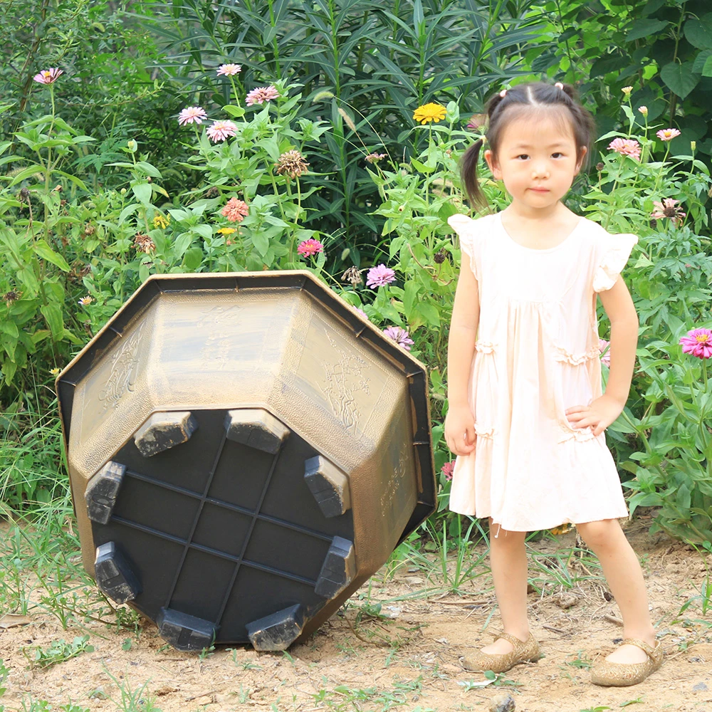八方来财室内外门庭种植大型花卉
