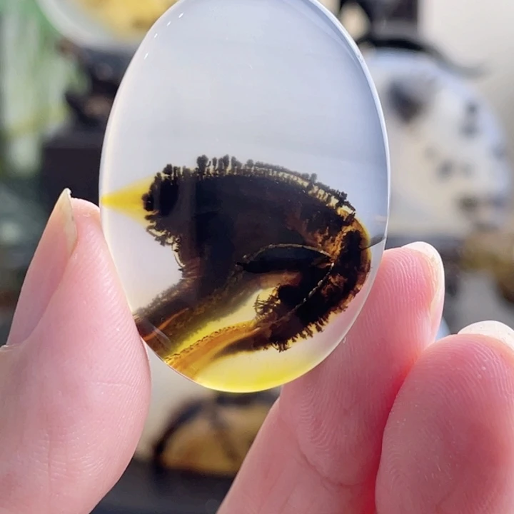 玛瑙/玉髓未镶嵌珠宝半成品