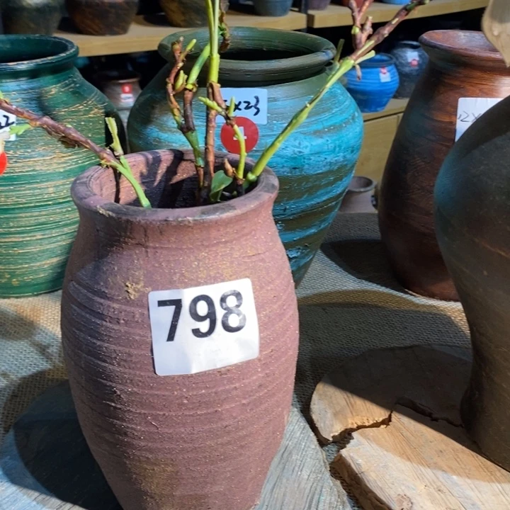 【闪购商品】0798号