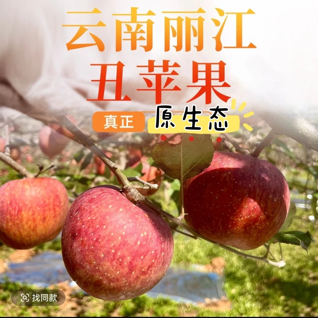 云南丽江正宗宁蒗丑苹果当季新鲜原生态新鲜脆甜多汁礼盒