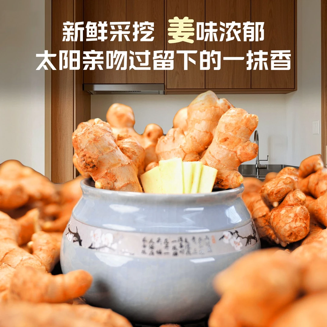 山东大姜，高山老姜，鲜姜出口品质老黄姜，现挖现发