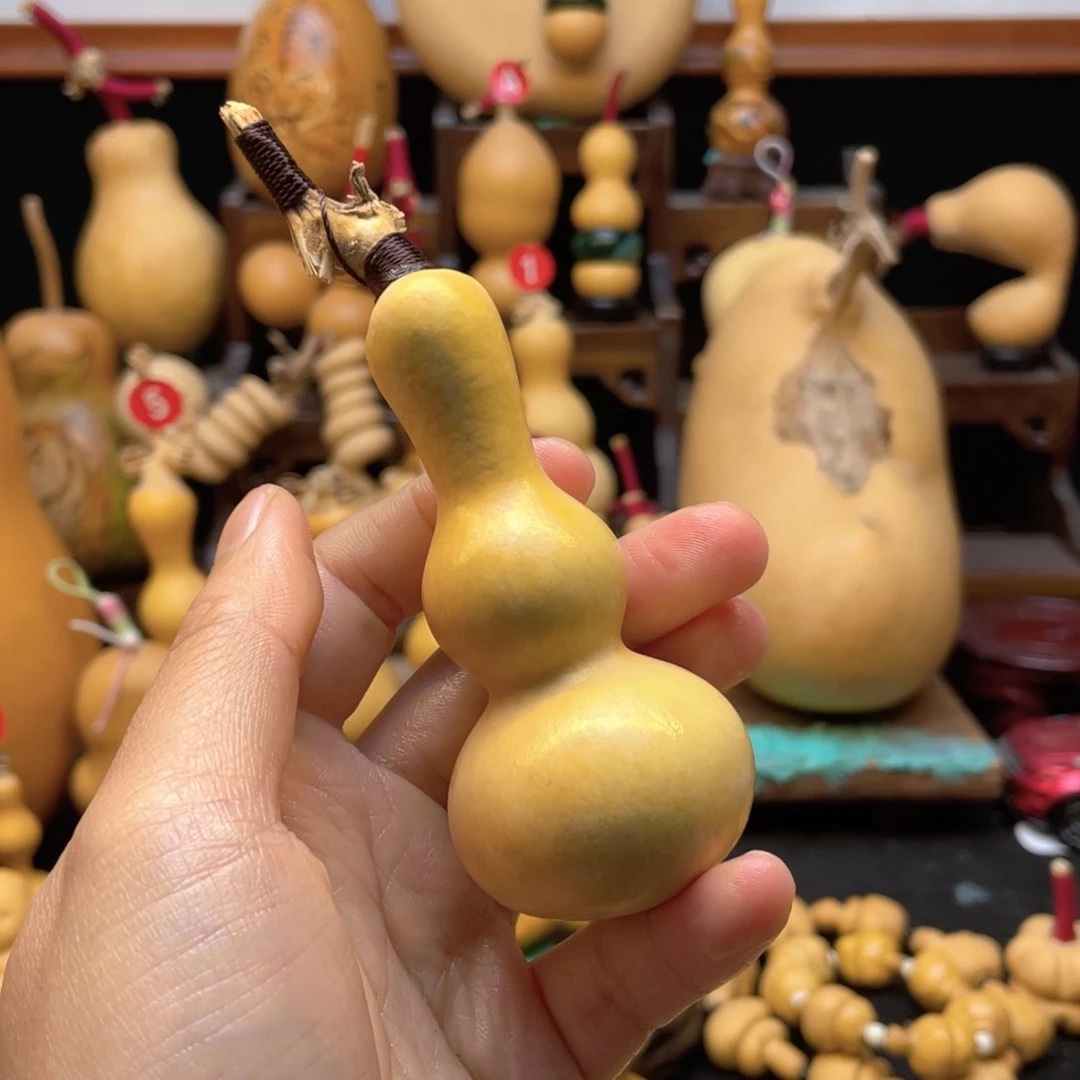 徐****）大自然的秘密第十节第