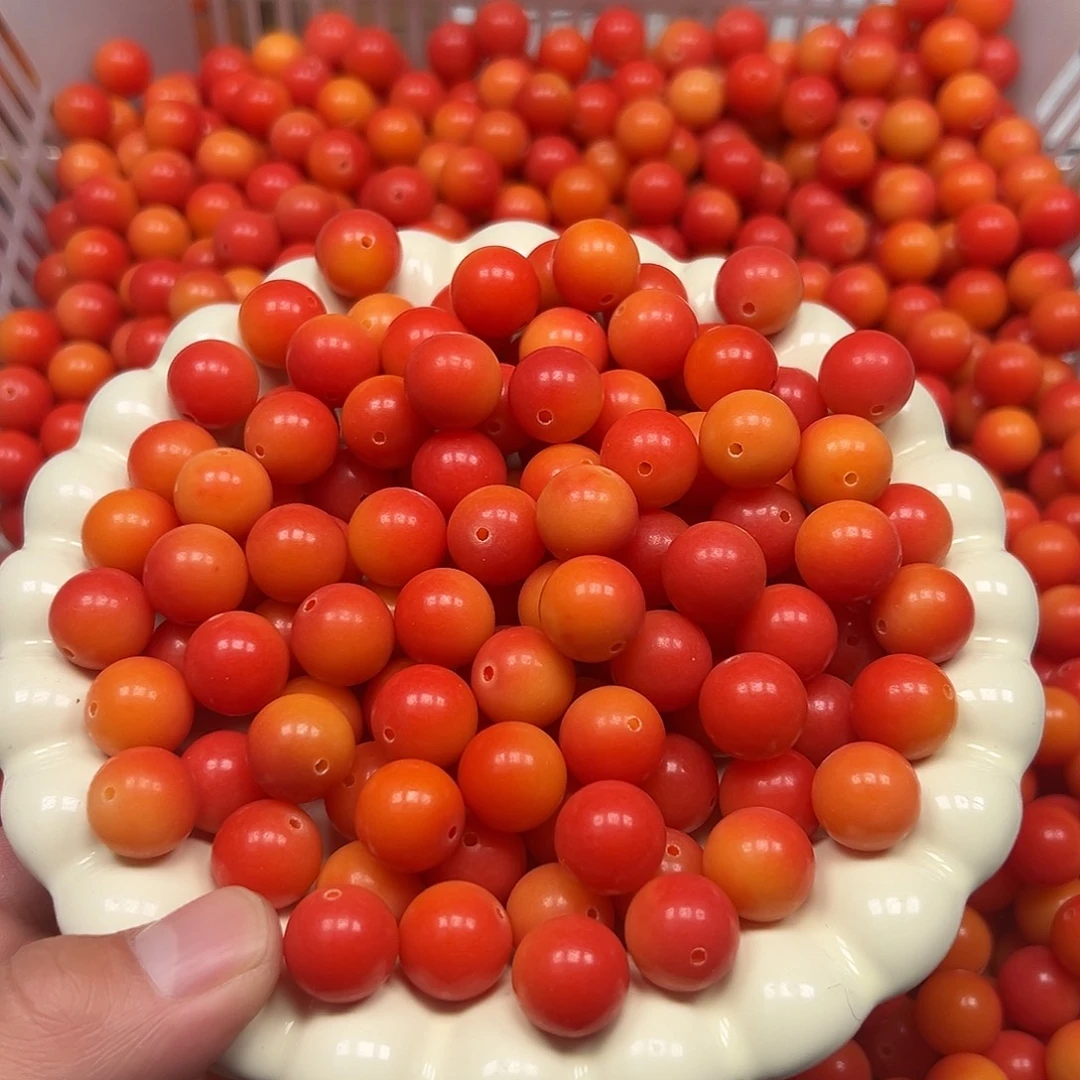 菩提根/象牙果手串500颗14尺寸心想事成圆珠